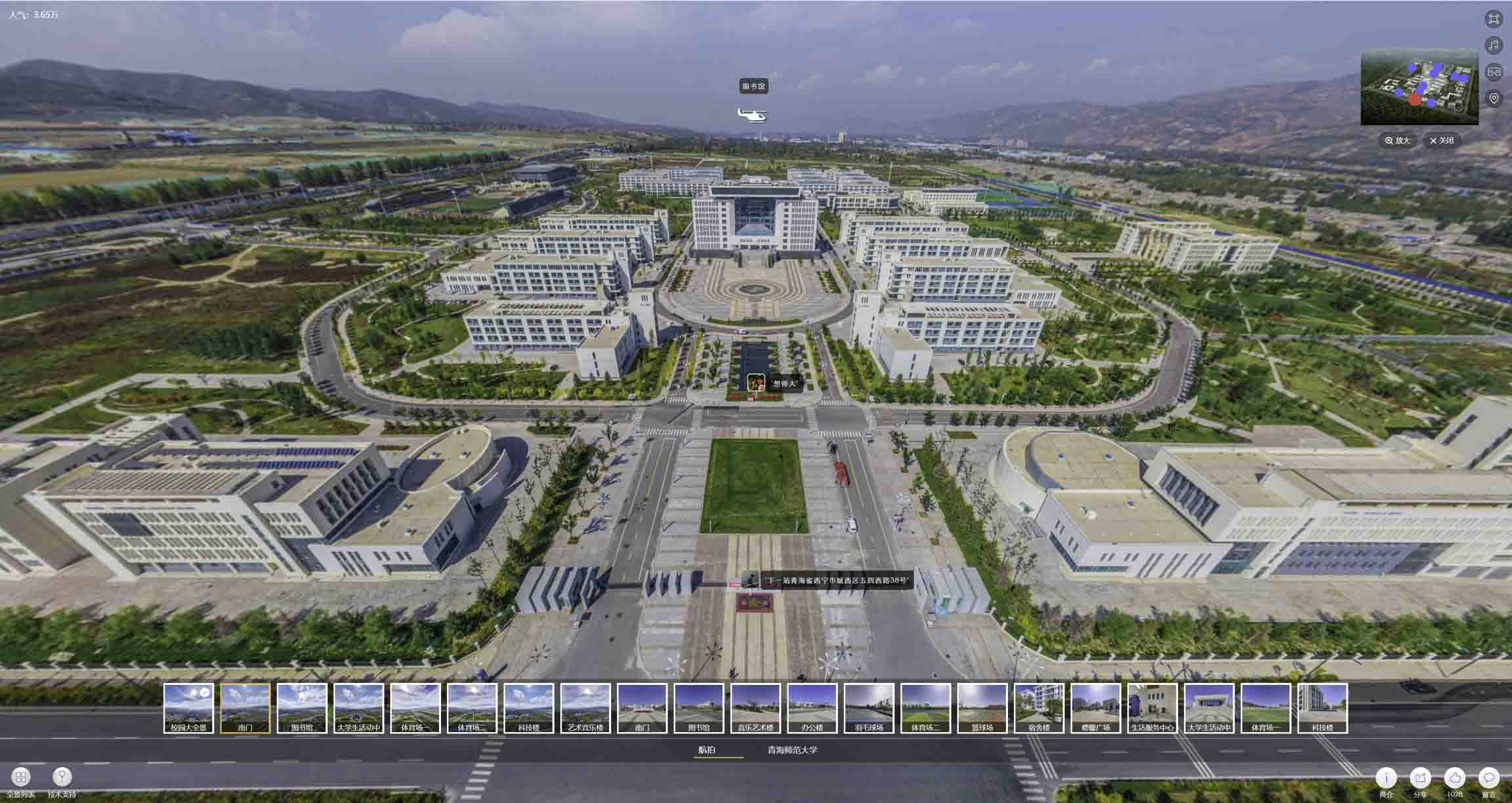 新龙油菜花-惊艳半生的花海仙境